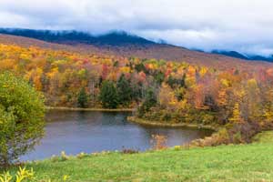 trees changing colors by the lake